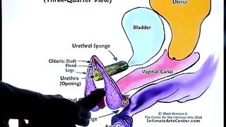 Squirting is a skill that anyone can learn. Here's how!