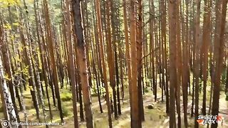 Brunette babe gets fucked hard and deep in woods