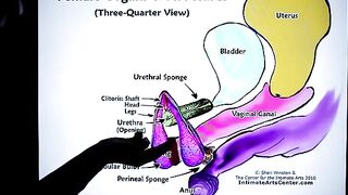 How to squirt? The ultimate guide by Mr PussyLicking, featuring intense, wet orgasms!
