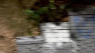 A woman meets a stranger in the park and they engage in passionate sex
