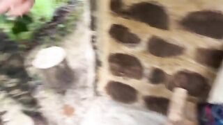 Two lovers caught fucking in the jungle