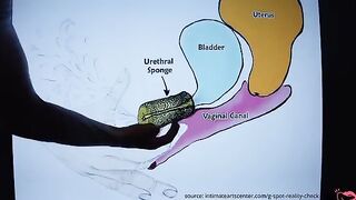 How to squirt like a pro? Watch this ultimate tutorial on Squirt University!