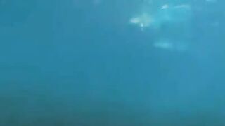An aqualung is not just a device for breathing underwater, but also a symbol of male cock