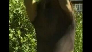 A guy in the hayloft plays with his long dick