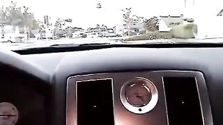 Nikki makes a blowjob in her car, it’s not modest