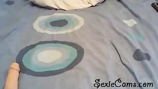 The beautiful girl tests her new sex toys on the webcam