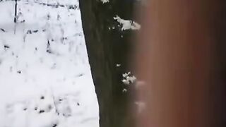 A lucky dude froze time with his girl, enjoying her without limits