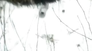A winter story about a blowjob on the street in POV style
