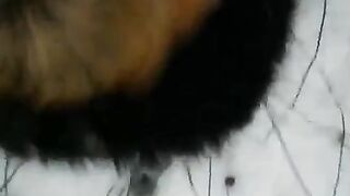 A winter story about a blowjob on the street in POV style