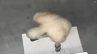A spy camera in the shower caught a naked man by surprise