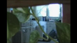 A married couple has no shame and loves to fuck without clothes in their house