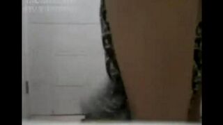 Asian porn with beautiful Chinese women having a good time