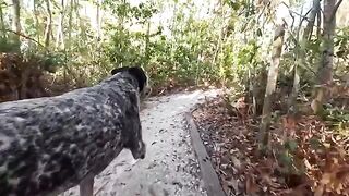 A hot guy has sex with a girl right in the jungle