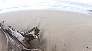 The beach is always humid – from the water and because of their intimate encounters